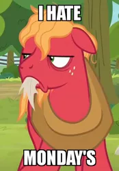 Size: 418x600 | Tagged: safe, derpibooru import, edit, edited screencap, screencap, big macintosh, earth pony, pony, going to seed, angry, bags under eyes, cropped, floppy ears, frown, garfield, grammar error, i hate mondays, male, meme, messy mane, solo, stallion, tired