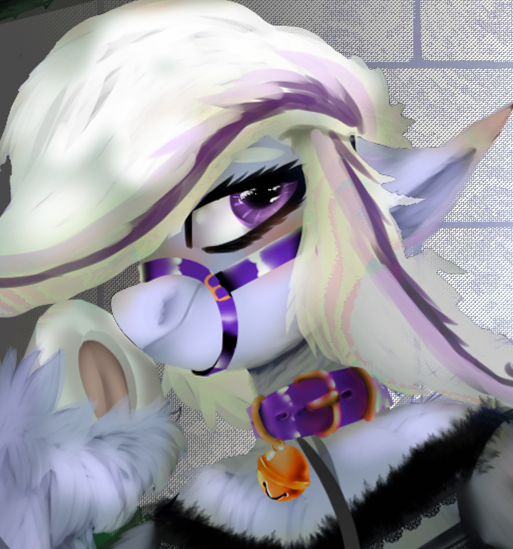 Size: 513x549 | Tagged: safe, artist:brainiac, derpibooru import, oc, oc:whiskey lullaby, cat, cat pony, original species, pony, bell, bell collar, blushing, cat bell, collar, female, floppy ears, fluffy, leash, mare, pony pet, unshorn fetlocks