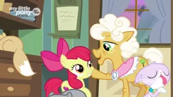 Size: 1600x900 | Tagged: safe, derpibooru import, screencap, apple bloom, goldie delicious, cat, earth pony, pony, going to seed, cheek squish, discovery family logo, drawer, female, filly, foal, goldie delicious' cats, hoof on cheek, indoors, mare, raised hoof, squishy cheeks, window