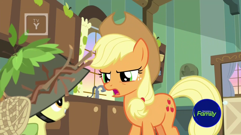 Size: 1600x900 | Tagged: safe, derpibooru import, screencap, apple bloom, applejack, earth pony, pony, going to seed, apple sisters, discovery family logo, door, duo, female, filly, foal, helmet, indoors, kitchen, leaves, mare, net, siblings, sink, sisters, stern, sticks, tv rating, tv-y, window