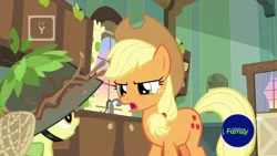 Size: 1600x900 | Tagged: safe, derpibooru import, screencap, apple bloom, applejack, earth pony, pony, going to seed, apple sisters, discovery family logo, door, duo, female, filly, foal, helmet, indoors, kitchen, leaves, mare, net, siblings, sink, sisters, stern, sticks, tv rating, tv-y, window