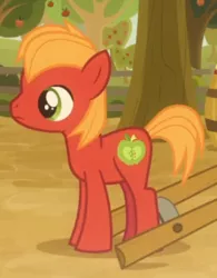 Size: 365x469 | Tagged: safe, derpibooru import, screencap, big macintosh, pony, going to seed, colt, colt big macintosh, cropped, male, solo, younger