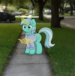 Size: 1280x1301 | Tagged: safe, artist:ljdamz1119, derpibooru import, lyra heartstrings, ponified, pony, unicorn, glowing horn, hand, horn, irl, lucky luciano, magic, magic hands, meme, photo, ponies in real life, solo, you know i had to do it to em