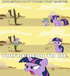 Size: 626x679 | Tagged: safe, derpibooru import, edit, edited screencap, editor:undeadponysoldier, screencap, spike, twilight sparkle, twilight sparkle (alicorn), alicorn, dragon, pony, abuse, angry, asdfmovie, blank eyes, blank face, cactus, caption, comic, desert, female, funny, humor, image macro, male, mare, open mouth, raised arms, reference, spikeabuse, text, tree, wide eyes, wrong aspect ratio