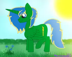 Size: 2823x2263 | Tagged: safe, artist:princess paw draw, derpibooru import, oc, oc:prince thunder spark, alicorn, pony, alicorn oc, flower, grass, grass field, horn, smiling, solo, sunny day, wings