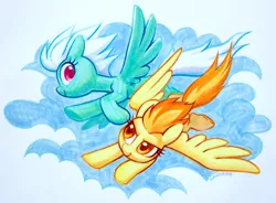 Size: 1280x943 | Tagged: safe, artist:dawnfire, derpibooru import, fleetfoot, spitfire, pegasus, pony, cloud, colored pupils, cute, duo, female, flying, mare, marker drawing, profile, sky, spread wings, traditional art, wings