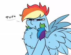 Size: 1280x988 | Tagged: safe, artist:mariashapony, derpibooru import, rainbow dash, pegasus, pony, behaving like a bird, chest fluff, cute, cyrillic, dashabetes, dialogue, female, floppy ears, fluffy, mare, maximum overfloof, puffed chest, russian, scrunchy face, serious, serious face, simple background, sitting, snorting, solo, speech bubble, spread wings, white background, wings