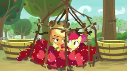 Size: 1920x1080 | Tagged: safe, derpibooru import, screencap, apple bloom, applejack, earth pony, pony, going to seed, apple, apple sisters, apple tree, basket, cage, duo, female, filly, foal, food, mare, siblings, sisters, trap (device), tree
