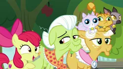 Size: 1920x1080 | Tagged: safe, derpibooru import, screencap, apple bloom, derp cat, goldie delicious, granny smith, cat, earth pony, pony, going to seed, apple, apple tree, bell, bell collar, collar, female, filly, foal, goldie delicious' cats, mare, sitting on head, tree