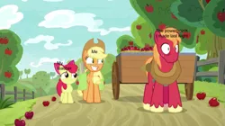 Size: 959x538 | Tagged: safe, derpibooru import, edit, edited screencap, editor:countcoltnackh, screencap, apple bloom, applejack, big macintosh, granny smith, going to seed, apple, apple family, applejack's hat, apple siblings, apple sisters, apple tree, bags under eyes, brother and sister, cart, concerned, cowboy hat, exploitable meme, female, fence, filly, foal, food, grin, hat, male, mare, meme, siblings, sisters, smiling, stallion, stetson, sweet apple acres, text, tree, wheelbarrow