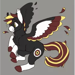 Size: 500x502 | Tagged: safe, artist:horsepowerred, derpibooru import, oc, oc:mayday, unofficial characters only, pegasus, pony, bullseye, chest fluff, coat markings, colored wings, ear fluff, feather, female, flying, gray background, mare, plewds, request, scared, simple background, socks (coat marking), solo, sweat, wings