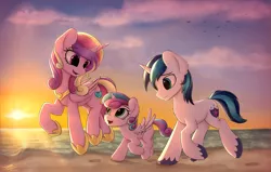 Size: 4206x2682 | Tagged: safe, artist:av-4, artist:avastin4, derpibooru import, princess cadance, princess flurry heart, shining armor, alicorn, pony, unicorn, beach, big ears, cheek fluff, chest fluff, cute, cutedance, ear fluff, family, female, filly, filly flurry heart, flurrybetes, high res, hoofprints, male, mare, older, older flurry heart, running, shining adorable, stallion, sunset