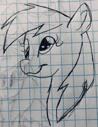 Size: 2551x3299 | Tagged: safe, artist:rainbow eevee, derpibooru import, derpy hooves, pony, bust, cute, derp, derpabetes, drawing, female, graph paper, old art, smiling, traditional art