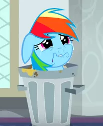 Size: 298x364 | Tagged: safe, derpibooru import, edit, edited screencap, screencap, rainbow dash, pony, parental glideance, school raze, abuse, cropped, crying, dashabuse, rainbow trash, sad, solo, trash can