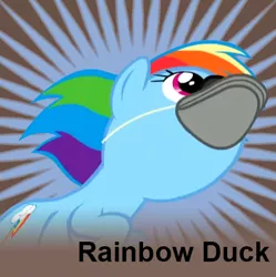 Size: 486x487 | Tagged: safe, derpibooru import, edit, edited screencap, editor:sponandi, screencap, rainbow dash, bird, goose, pegasus, pony, derpibooru, tanks for the memories, background removed, cropped, female, flying, joke, literal duck face, mare, meta, op, pegaduck, rainbow dash is a duck, rainbow duck, spoilered image joke, text