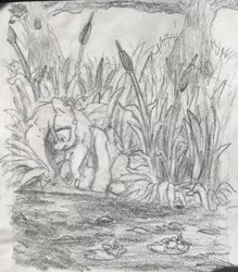 Size: 3024x3452 | Tagged: safe, artist:jimmyjamno1, derpibooru import, fluttershy, pegasus, pony, cattails, female, folded wings, grayscale, looking at something, looking down, mare, monochrome, outdoors, pencil drawing, pond, reflection, sad, sitting, solo, three quarter view, traditional art, tree, water lily, wings