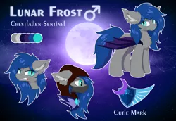 Size: 8000x5500 | Tagged: safe, artist:lunar froxy, derpibooru import, oc, oc:lunar frost, unofficial characters only, bat pony, pony, angry, bat pony oc, bat wings, eye clipping through hair, full moon, hood, male, mask, moon, night guard, reference sheet, smiling, smirk, stallion, wings