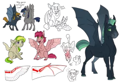 Size: 3700x2480 | Tagged: safe, artist:jackiebloom, derpibooru import, oc, oc:northern skies, unofficial characters only, bat pony, pegasus, pony, anatomy, bat pony oc, bat wings, colt, featherless wings, headcanon, headcanon in the description, hybrid wings, male, slit pupils, upside down, wing claws, wings