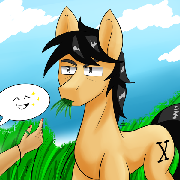 Size: 1200x1200 | Tagged: safe, artist:zachc, derpibooru import, oc, unofficial characters only, human, pony, cloud, eating, feeding, grass, grazing, hand, herbivore, horses doing horse things, sky