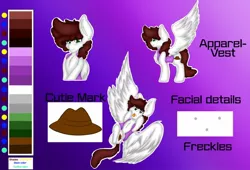 Size: 1024x696 | Tagged: safe, artist:winternightstudios, derpibooru import, oc, oc:graph travel, unofficial characters only, pegasus, pony, chest fluff, clothes, cutie mark, female, freckles, mare, reference sheet, silly, solo, text, vest, wing fluff