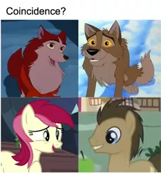Size: 606x651 | Tagged: safe, derpibooru import, screencap, doctor whooves, roseluck, time turner, dog, husky, pony, wolf, wolfdog, amblimation, apple, balto, coincidence, fanfic fuel, female, flower, food, jenna, male, meme, screencap from another series, snow