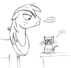 Size: 900x863 | Tagged: safe, artist:cartoon-eric, derpibooru import, big macintosh, cat, earth pony, pony, grayscale, grumpy cat, in memory, monochrome, nope