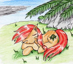 Size: 1868x1651 | Tagged: safe, artist:40kponyguy, derpibooru import, oc, oc:safe haven, unofficial characters only, earth pony, pony, /mlp/, cute, ear fluff, female, grass, mare, ocbetes, sleeping, solo, traditional art