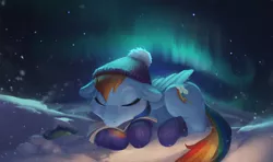 Size: 4000x2360 | Tagged: safe, artist:foxvanity, derpibooru import, rainbow dash, tank, pegasus, pony, aurora borealis, book, clothes, cute, dashabetes, female, hat, mare, mittens, night, prone, reading, sleeping, snow, snowfall, solo, winter, winter outfit