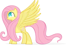 Size: 5751x4000 | Tagged: safe, artist:kalleflaxx, derpibooru import, fluttershy, pegasus, pony, cute, eye, eyelashes, eyes, female, long mane, shy, shy smile, shyabetes, simple background, slight smile, smiling, solo, spread wings, standing, transparent background, vector, wingboner, wings