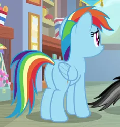 Size: 452x478 | Tagged: safe, derpibooru import, screencap, quibble pants, rainbow dash, pegasus, pony, common ground, butt, cropped, plot