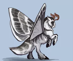 Size: 1024x851 | Tagged: artist:eerinless, blue background, coat markings, derpibooru import, floppy ears, looking at you, male, moth, mothpony, oc, oc:todd, original species, rearing, safe, simple background, solo, spread wings, stallion, unofficial characters only, unshorn fetlocks, wings