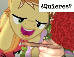 Size: 1115x867 | Tagged: big macintosh, caption, cropped, derpibooru import, downvote bait, drugs, edit, edited screencap, feather bangs, hard to say anything, image macro, male, marijuana, meme, ¿quieres?, safe, screencap, spanish, text