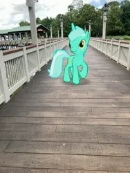 Size: 3024x4032 | Tagged: safe, derpibooru import, photographer:undeadponysoldier, lyra heartstrings, pony, unicorn, augmented reality, bridge, deck, disney springs, disney world, downtown disney, female, florida, gameloft, irl, mare, orlando, photo, ponies in real life, solo