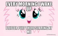 Size: 800x500 | Tagged: safe, derpibooru import, oc, oc:fluffle puff, unofficial characters only, earth pony, pony, caption, cute, flufflebetes, image macro, meme, ocbetes, solo, text