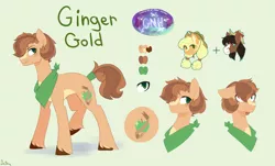 Size: 3880x2347 | Tagged: safe, artist:darlyjay, derpibooru import, applejack, trouble shoes, oc, oc:ginger gold, earth pony, pony, male, offspring, parent:applejack, parent:troubleshoes clyde, parents:troublejack, reference sheet, solo focus, stallion