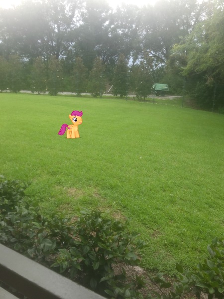 Size: 3024x4032 | Tagged: safe, derpibooru import, photographer:undeadponysoldier, scootaloo, pegasus, pony, bush, disney world, female, filly, grass, irl, magic kingdom, photo, ponies in real life, solo, tree