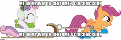 Size: 1280x428 | Tagged: suggestive, artist:squidponer, derpibooru import, scootaloo, sweetie belle, pegasus, pony, unicorn, best belle, caption, circumcision, female, filly, image macro, meme, rip xxx, text