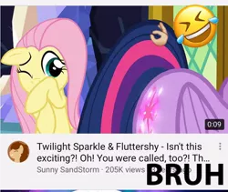 Size: 750x634 | Tagged: alicorn, artist:jawsandgumballfan24, bruh, derpibooru import, edit, edited screencap, emoji, emotes, emoticon, fluttershy, one eye closed, safe, screencap, text, the hooffields and mccolts, twilight sparkle, twilight sparkle (alicorn), youtube