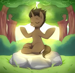 Size: 3300x3200 | Tagged: safe, artist:maren, derpibooru import, oc, unofficial characters only, pony, unicorn, eyes closed, forest, hooves, horn, lotus position, male, meditating, rock, solo, tree, unicorn oc
