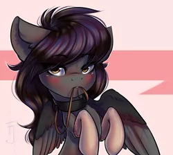 Size: 1342x1200 | Tagged: safe, artist:falafeljake, derpibooru import, oc, oc:rune riddle, unofficial characters only, pegasus, pony, adorasexy, blushing, clothes, collar, commission, cute, female, leash, looking at you, mare, mouth hold, sexy, socks, solo, ych result