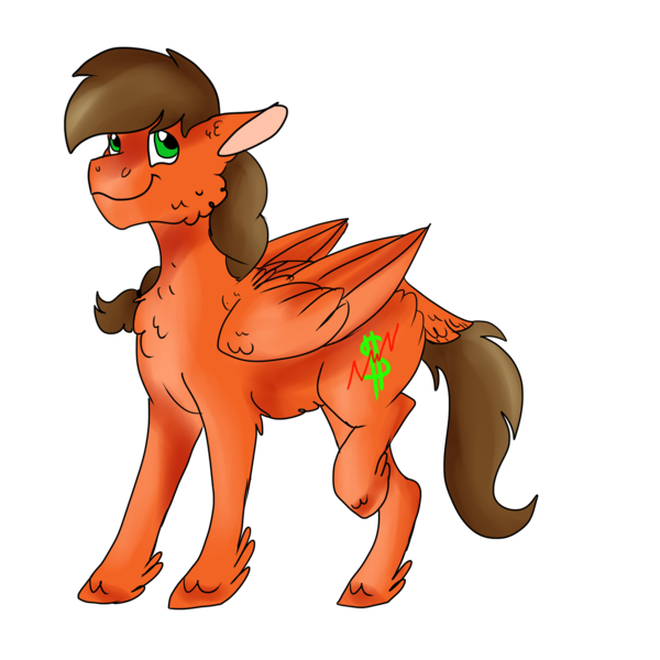 Size: 2000x2000 | Tagged: safe, artist:euspuche, derpibooru import, oc, oc:solar chaser, pegasus, pony, chest fluff, fluffy, looking at you, simple background, smiling, transparent background