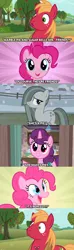 Size: 1280x4320 | Tagged: safe, derpibooru import, edit, edited screencap, screencap, big macintosh, marble pie, pinkie pie, sugar belle, pony, a friend in deed, hard to say anything, hearthbreakers, no second prances, party of one, awkward, caption, comic, everything went better than expected, friendship, friendshipper on deck, friendshipping, pinkie logic, screencap comic, shocked, shocked expression, silence, stunned, surprised, unexpected, what a twist