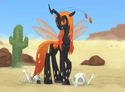 Size: 1040x768 | Tagged: antennae, artist:carnifex, bone, cactus, changeling, changeling queen, changeling queen oc, dead, derpibooru import, desert, female, oc, oc:queen erranda, orange changeling, safe, skull, slit eyes, slit pupils, solo, unofficial characters only