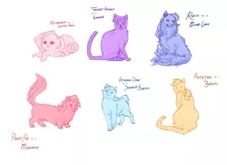 Size: 1846x1333 | Tagged: applecat, applejack, artist:punbun4fun, bengal, cat, catified, derpibooru import, fluttercat, fluttershy, japanese bobtail, maine coon, mane six, munchkin, pinkie cat, pinkie pie, rainbow cat, rainbow dash, raricat, rarity, safe, scottish fold, siamese cat, simple background, species swap, text, twilight cat, twilight sparkle, white background