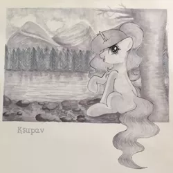 Size: 655x654 | Tagged: source needed, safe, artist:ksupav, derpibooru import, oc, oc:ksupav, pony, black and white, cloud, forest, gray background, grayscale, lake, monochrome, mountain, rcf community, rock, simple background, sky, solo, tree