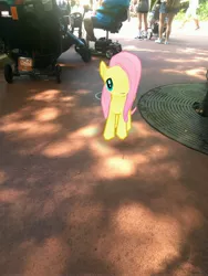 Size: 3024x4032 | Tagged: safe, derpibooru import, photographer:undeadponysoldier, fluttershy, human, pegasus, pony, amusement park, animal kingdom, augmented reality, disney world, female, florida, gameloft, irl, irl human, mare, orlando, photo, ponies in real life, theme park