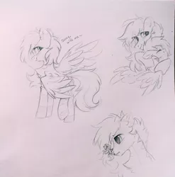 Size: 2133x2160 | Tagged: safe, artist:mirtash, derpibooru import, oc, oc:liu, oc:mirta whoowlms, unofficial characters only, pegasus, pony, butt, clothes, micro, monochrome, plot, rcf community, sketch, socks, traditional art