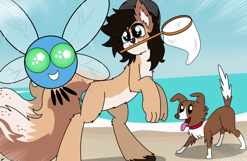 Size: 3910x2550 | Tagged: safe, artist:takaneko13, derpibooru import, winona, oc, oc:finn, dog, dog pony, parasprite, pony, beach, hat, having fun, male, net, ocean, rainbow falls nude beach getaway