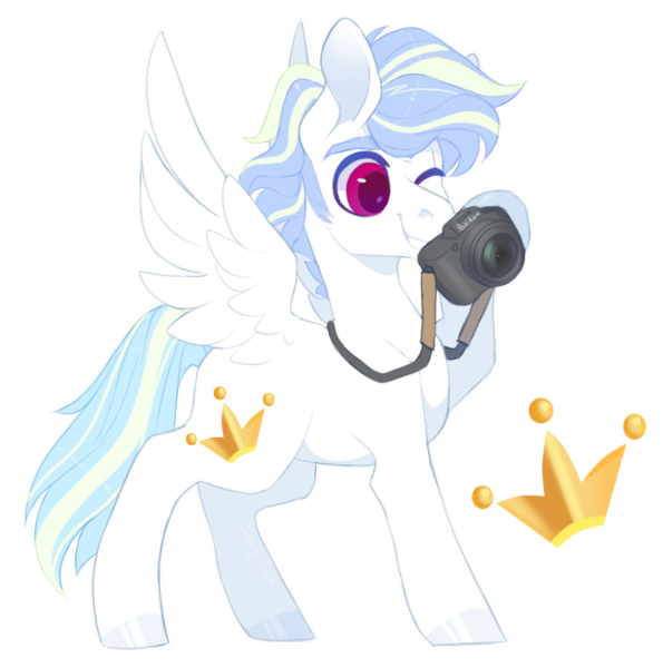 Size: 1014x1022 | Tagged: safe, artist:shady-bush, derpibooru import, oc, oc:first rate, pegasus, pony, camera, male, offspring, parent:double diamond, parent:rainbow dash, parents:doubledash, simple background, solo, stallion, transparent background