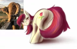 Size: 1280x814 | Tagged: safe, artist:vincher, derpibooru import, roseluck, ponified, cat, earth pony, pony, behaving like a cat, blushing, butt, female, looking at you, looking back, looking back at you, mare, plot, ponified animal photo